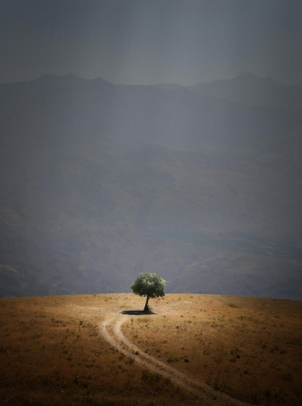 Gör Ditt Liv Färgglatt med En Skvätt Livsglädje!