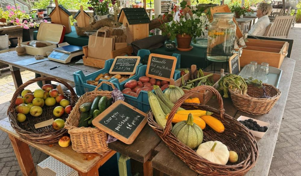 Knep för en mer hållbar livsstil du inte kan missa!